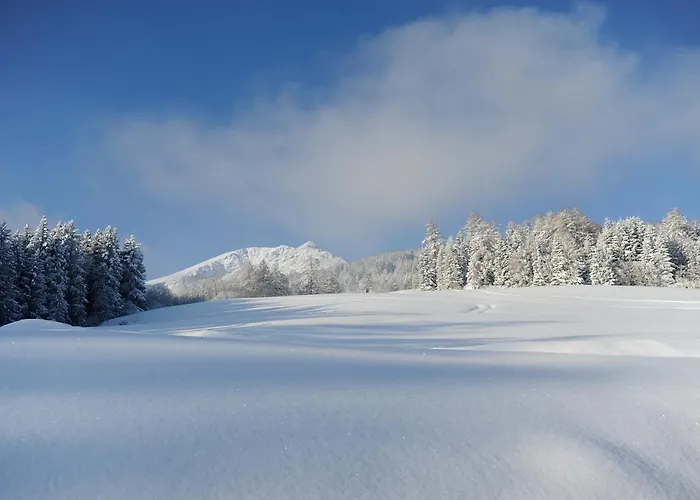 Κατάλυμα σε φάρμα Hoarachhof