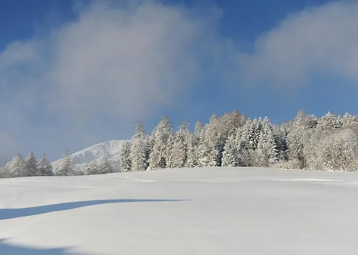 Κατάλυμα σε φάρμα Hoarachhof Ίνσμπρουκ
