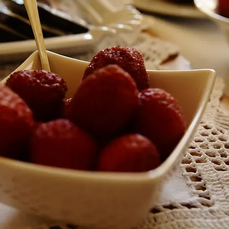 Hoarachhof Çiftlik konaklama İnnsbruck