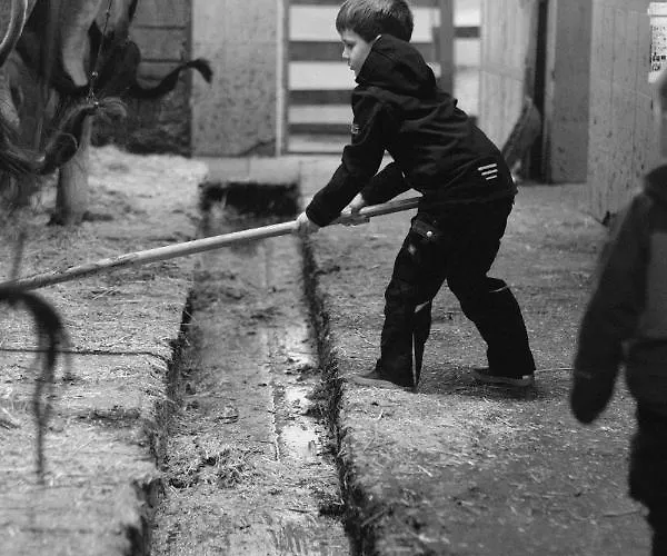 霍拉霍夫酒店 *