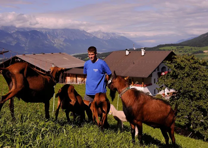 农家乐 霍拉霍夫酒店 *