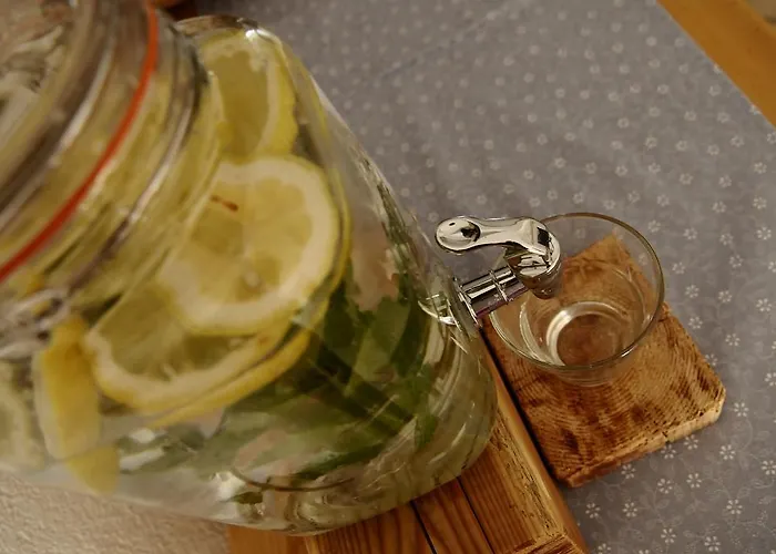 霍拉霍夫酒店 * 因斯布鲁克