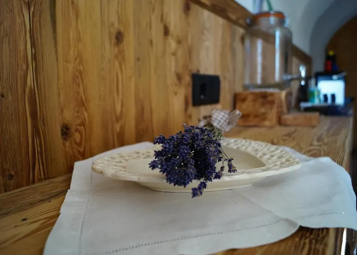 霍拉霍夫酒店 * 因斯布鲁克