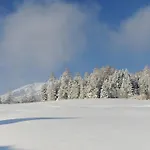 Фермерский дом Hoarachhof Инсбрук